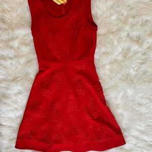 Little Red Skater Dress